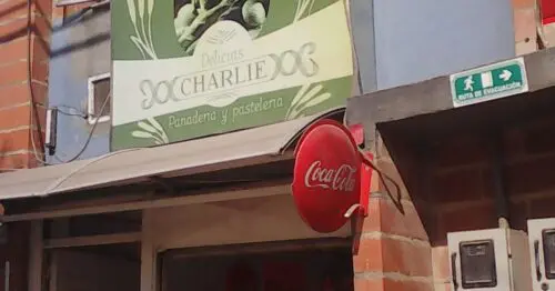 DELICIAS CHARLIE PANADERIA DELICIAS CHARLIE PANADERIA